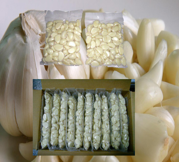 peeled garlic pack supplier